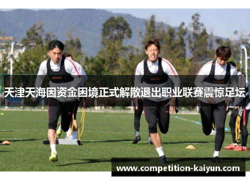 天津天海因资金困境正式解散退出职业联赛震惊足坛